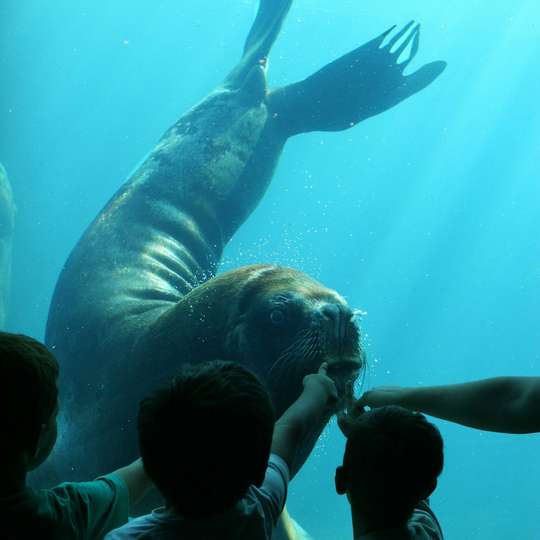 Seaquarium Le Grau-du-Roi: Tiket Masuk