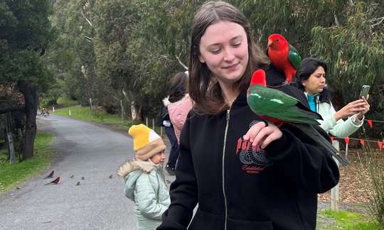 Great Ocean Road Scenic Tour, Rp 1.869.674