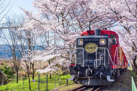 Bus Wisata KYOTO “OKOSHI”(SW)Kereta Romantis Sagano dan Naik Perahu Sungai Hozugawa★Dengan panduan audio Bahasa Inggris・Mandarin・Korea★