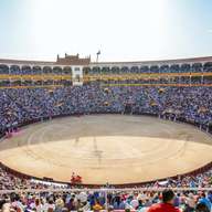 Las Ventas Bullring and Museum