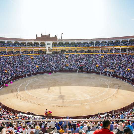 Arena Adu Banteng dan Museum Las Ventas