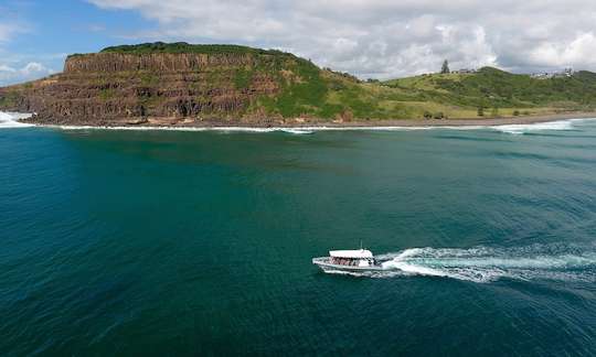Premier Whale Watching Cruise - Byron Bay – 2 Hours