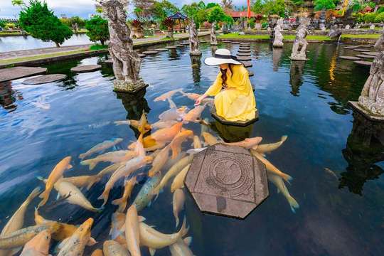 BALI DAY TRIP KARANGASEM - ALVA TRAVELINDO, 435.279 VND