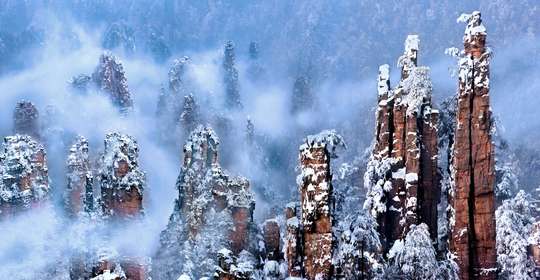 Zhangjiajie National Forest Park Ticket + Three Cableways and One Elevator (4 One-Way Trips)