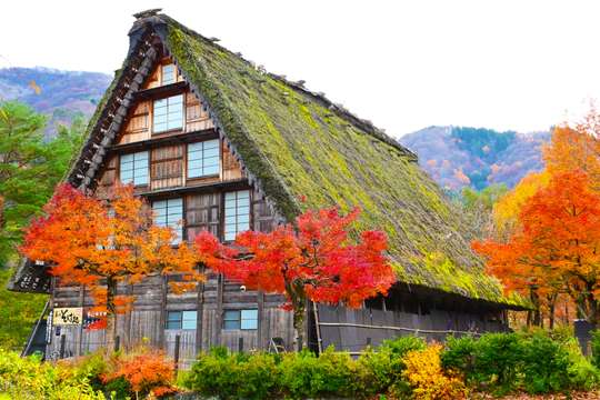 [Nagoya Departure] Takayama & Shirakawa-go Day Tour with Optional Hida Beef Lunch (English & Chinese Guide)