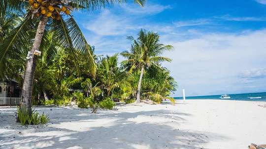 Malapascua Island-Hopping Day Tour from Cebu | Philippines, Rp 706.373