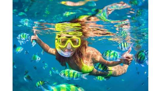 Snorkeling Bali in Padang Bali, Rp 280.000