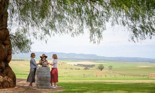 Barossa Valley Winery Tour from Adelaide