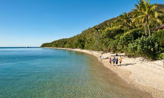 1 Day Transfer to Fitzroy Island - Full Day