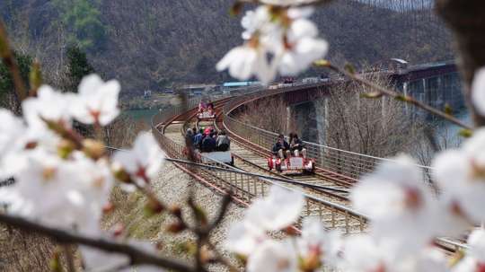 Nami Island, Petite France, Italian Village, and Gangchon Rail Bike Tour from Seoul, 2.308.327 VND