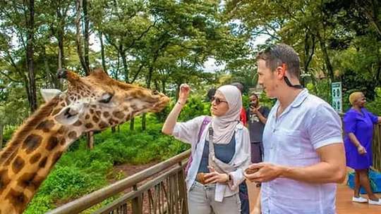 Mombasa: Half-Day Haller Park Giraffes Feeding Guided Experience., RM 167