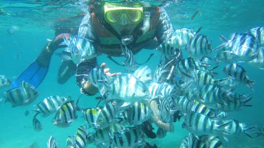 Snorkeling Tour in Blue Lagoon, Rp 280.000