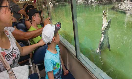 Hartley's Crocodile Adventures Tickets