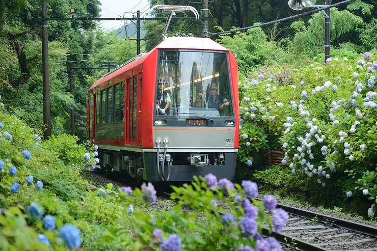 Hakone Kamakura Pass 2