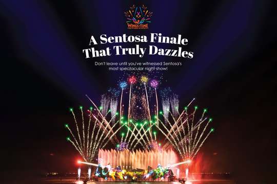 Wings of Time Fireworks Symphony