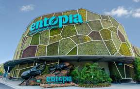 Entopia by Penang Butterfly Farm Tickets