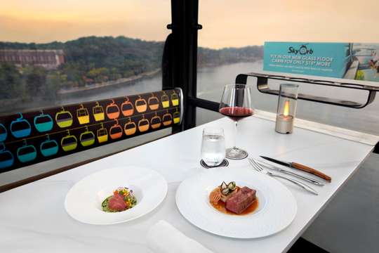 Singapore Cable Car Sky Dining Experience
