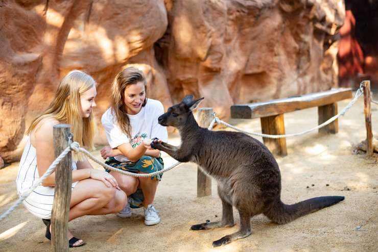 Sydney Multi-Attraction Pass 3