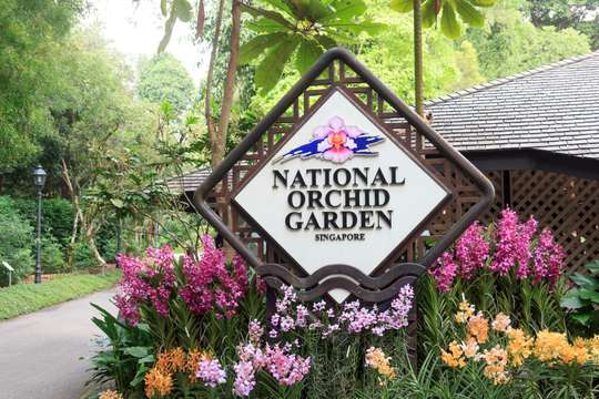 National Orchid Garden
