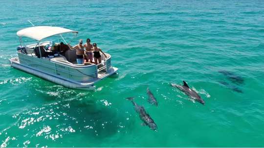 Siladen DOLPHIN TRIP SNORKELING - ONE DAY TOUR, AU$118