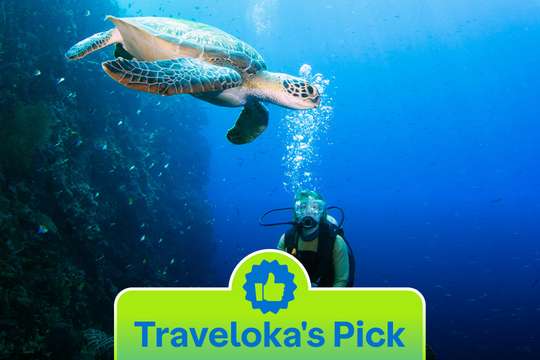 Tur Snorkeling di Bunaken, Rp 875.000