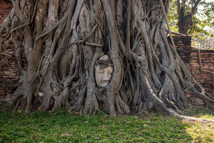 Ayutthaya Historical Park - Day Tour 3