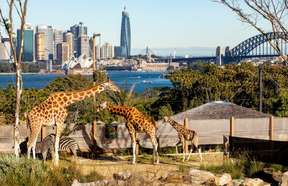 Taronga Zoo Sydney Tickets