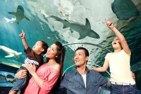 SEA LIFE Sydney Aquarium