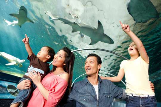 Thủy cung SEA LIFE Sydney, 720.509 VND