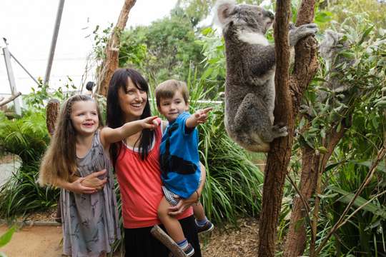 Tiket WILD LIFE Sydney Zoo