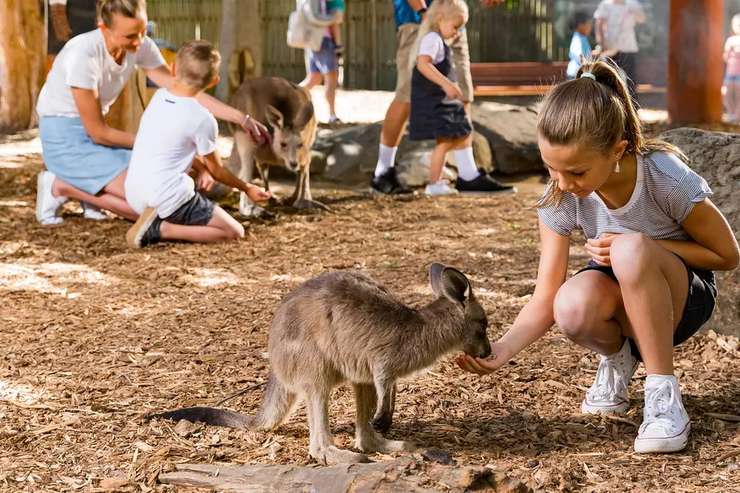 Dreamworld Australia 2