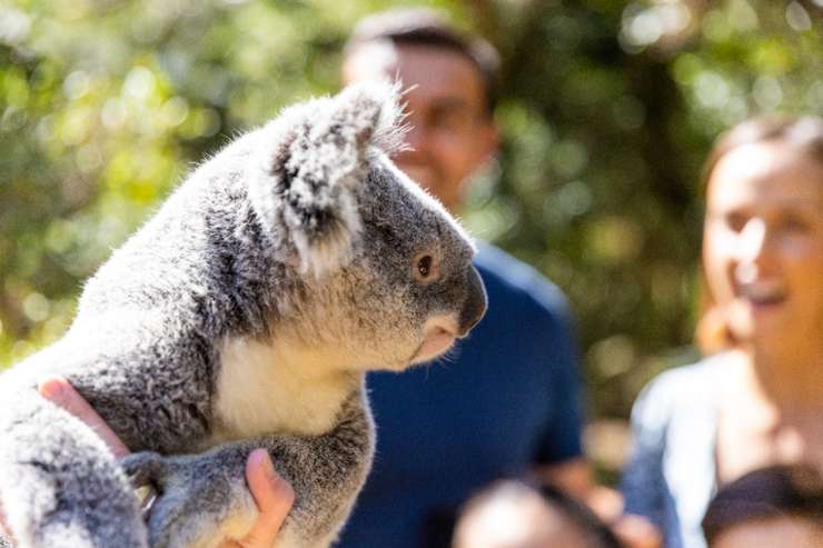 Dreamworld Australia 3