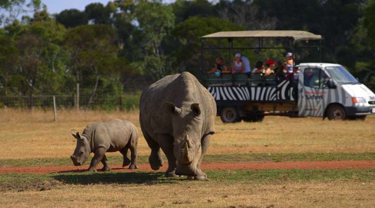 Werribee Open Range Zoo Tickets 1