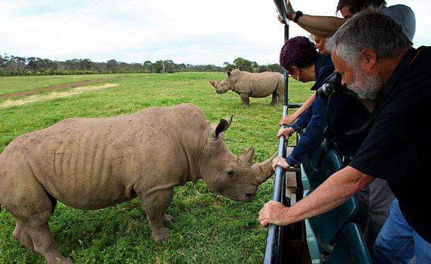 Werribee Open Range Zoo Tickets 2