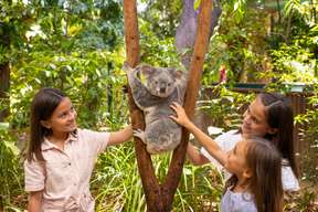 Currumbin Wildlife Sanctuary Gold Coast Ticket