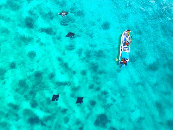 3D2N Derawan 3