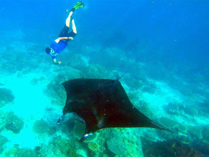 3D2N Derawan 1