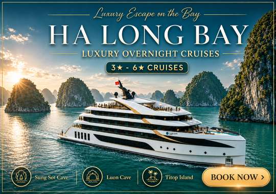 Ha Long Bay 2 Days 1 Night Cruises | 3 to 6 Stars with Cave Exploration, Island Visits & Full Meals, THB 460.08