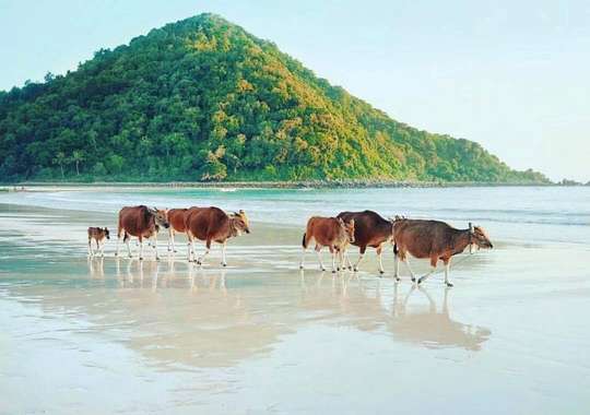 Explore South Beach & Sasak Lombok Trip - 1-Day Tour, RM 171