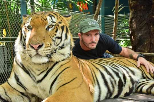 Vé vào cửa Tiger Park Pattaya | Thái Lan