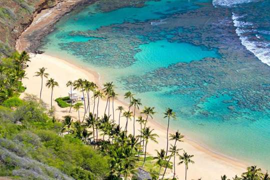 หมู่เกาะจาม - ทัวร์วันเดียว | ออกเดินทางจากดานัง/ฮอยอัน