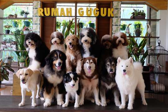 Ticket Rumah Guguk, THB 112.10