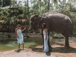Ticket Lombok Wildlife Park