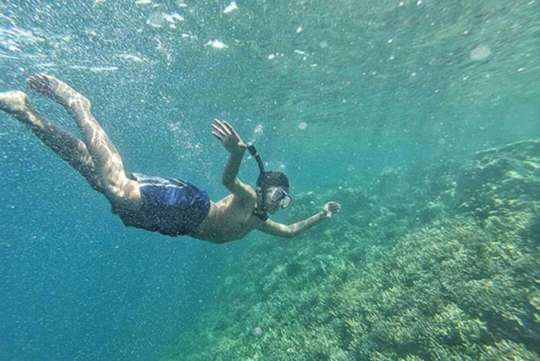3D2N Open Trip Peucang Island Ujung Kulon, S$68