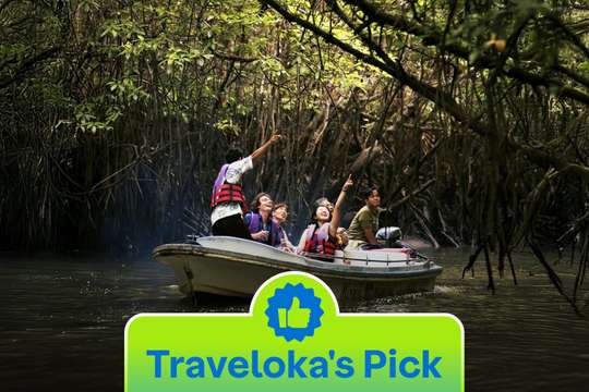 Tur Mangrove Bintan, Rp 250.000