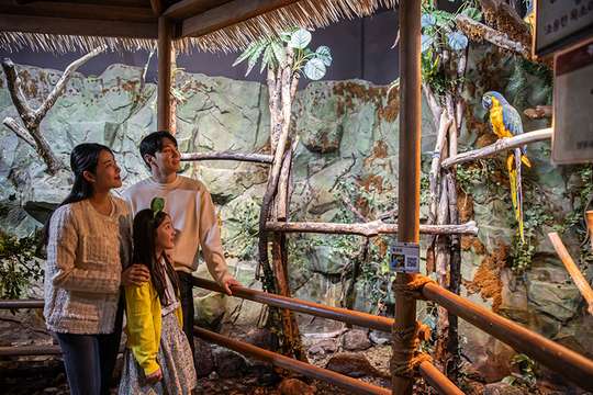Zoolung Zoolung Indoor Animal Theme Park in Ilsan Tickets, RM 82