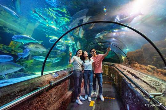 Sea World Ancol Tickets, Rp 50.000