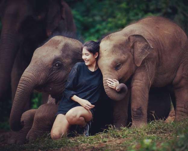 ปางช้างจังเกิ้ลแซงค์ทัวรี่ เชียงใหม่ - ทัวร์ครึ่งวัน 2