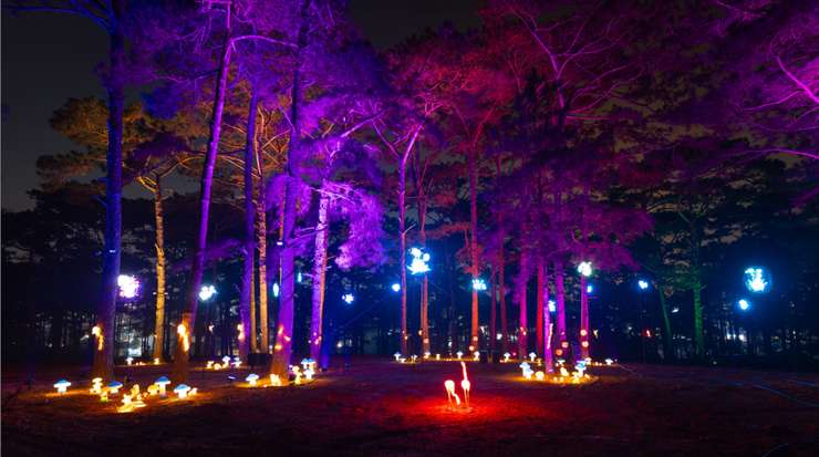 Delight Park Dalat 3