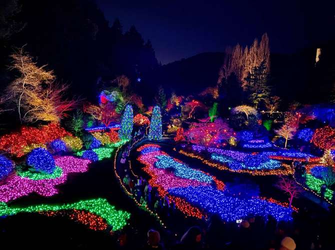 Delight Park Dalat 2